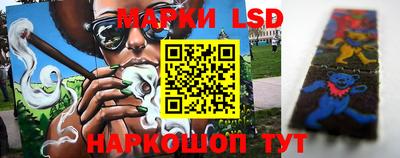 spice Кимры
